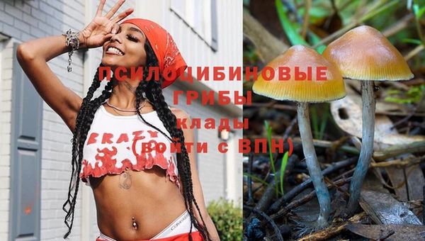 spice Осинники