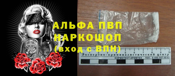 spice Осинники