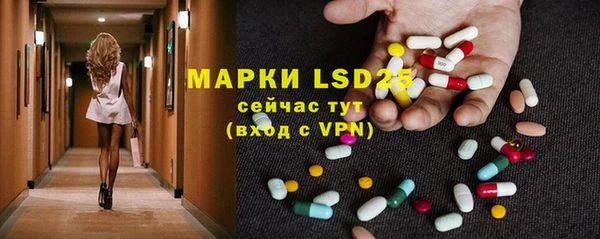 spice Осинники