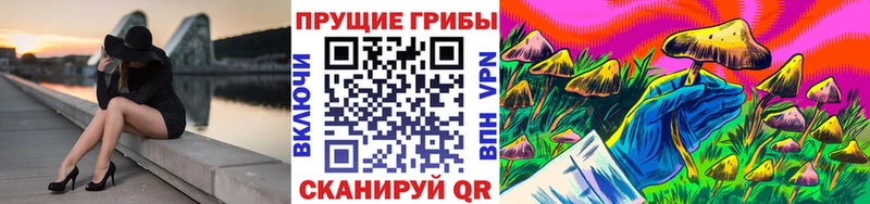 где купить наркотик omg онион Псилоцибиновые грибы мухоморы Пугачёв